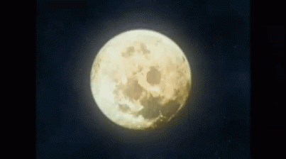 20230422_040311.gif