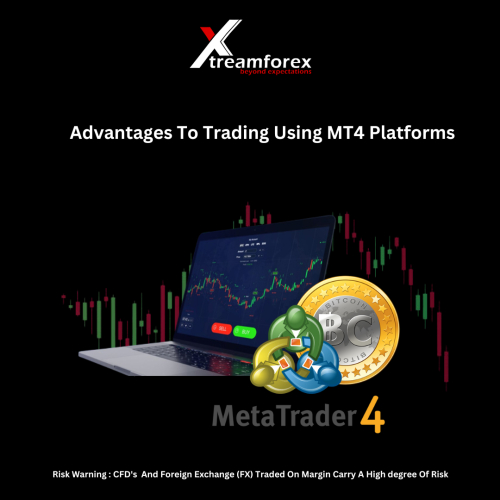 Mt4 platforms is one of the most popular and used Forex trading platforms. It is offered by almost every Forex company and preferred by many forex traders. The platform has established itself as a prominent one by catering to all the basic needs of traders and not just for trading.
