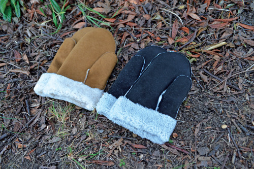 CB11MITTENS-LF-3.jpg