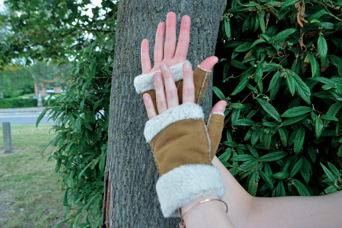 CB12MITTENS-LF-2.jpg