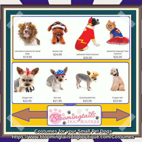 Costumes-for-your-Small-Pet-Dogs-bloomingtailsdogboutique.gif