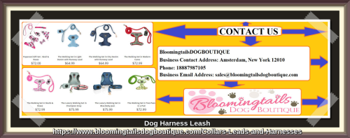 Dog-Harness-Leash-bloomingtailsdogboutique.png
