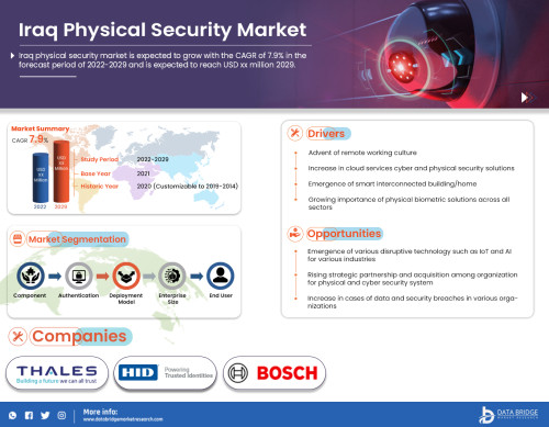 Iraq-Physical-Security-Market.jpg