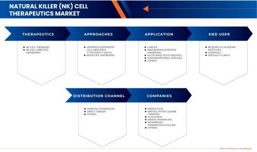 Middle-East-and-Africa-Natural-Killer-NK-Cell-Therapeutics-Market.jpg