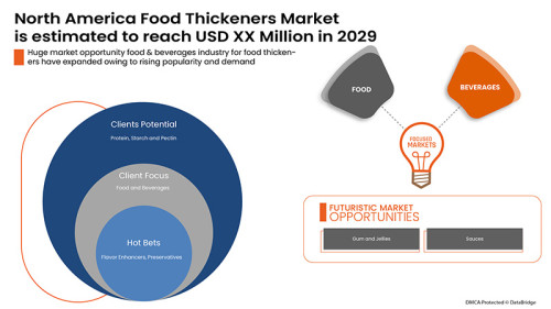 North-America-Food-Thickeners-Market.jpg