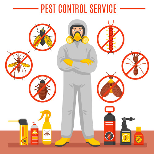 We are considered to be a leading service provider of pest control in Noida. We provide permanent ways to get rid of pests at affordable rates. Over the years, we have managed to win the trust of a plethora of clients. It has mainly happened due to our quality and timely services. We are known to provide customised services which fit into your needs and demands. In case you have pests at home, feel free to contact us for professional assistance of pest control Noida.
Visit - https://24x7pestcontrol.com/pest-control-noida.php
Website - https://24x7pestcontrol.com/