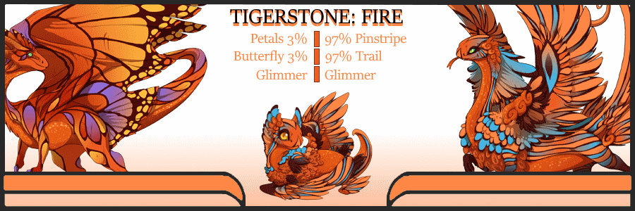 Pair-Card---Tigerstone-Fire.gif