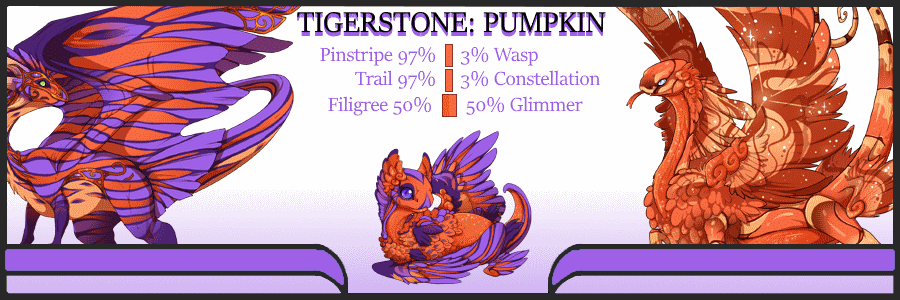 Pair-Card---Tigerstone-Pumpkin.gif
