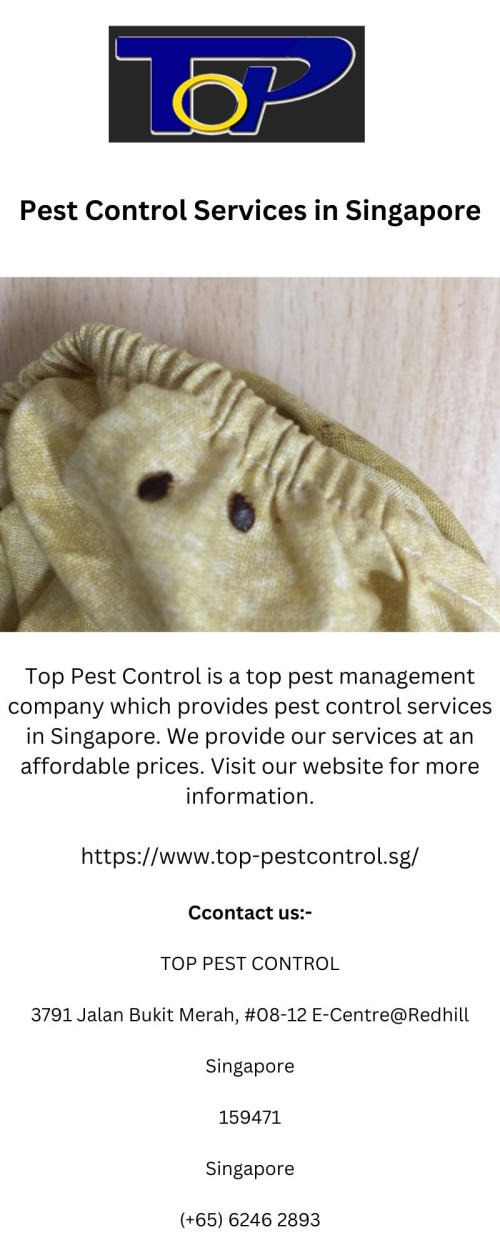 Pest-Control-Services-in-Singapore.jpg