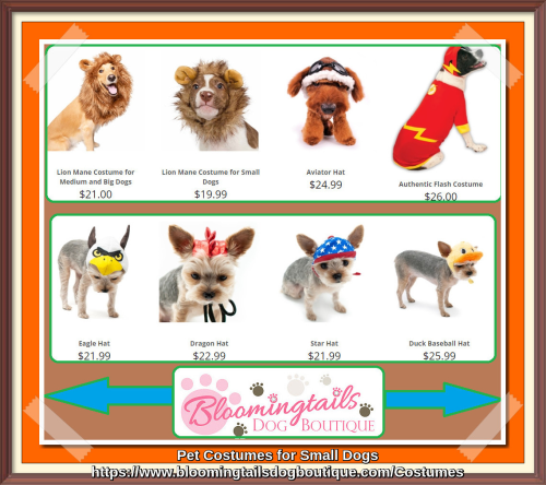 Pet-Costumes-for-Small-Dogs-bloomingtailsdogboutique.png