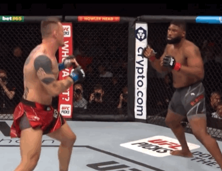 S52UP.gif