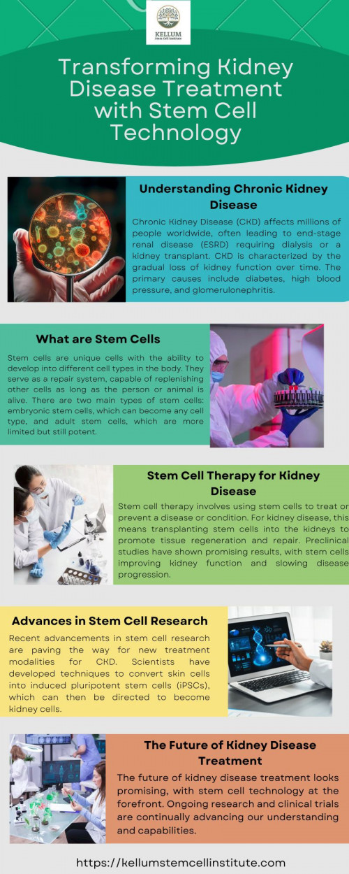 Transforming Kidney Disease Treatment with Stem Cell Technology