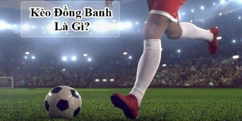 Keo dong banh la gi? Kinh nghiem thang cuoc tu Xin88
Kèo đồng banh là gì là một loại kèo phổ biến trong các trận đấu bóng đá lớn. Tuy nhiên, đối với những người mới gia nhập bộ môn cá cược, khái niệm về kèo chấp hòa có thể vẫn còn mơ hồ. Để Xin88 giải đáp cho bạn ngay
#xin88 #xin88best #xin88best_casino #xin88best_thethao #nhacaixin88 #linkxin88best