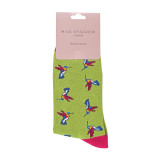 SPA-ANI-1-Hummingbirds-Olive