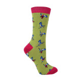 SPA-ANI-1-Hummingbirds-Olive46142d30dd1fa8ed