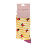 SPA-ANI-1-Ladybird-Mustard