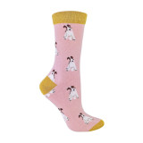 SPA-DOG-1-Fox-Terrier-Pink