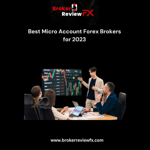 With micro forex brokers, you will have an option to trade at a minimum cost and learn new trading strategies for experienced clients. This is one of the best options if you are a new retail leader learning how to trade. Besides micro accounts, forex brokers also offer two other account types.