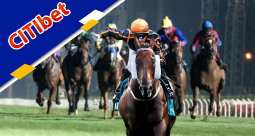 Need the thrill of horse racing from Singapore with Citibet! Onlinegambling-review.com provides the best reviews and tips for all your betting needs so you can make the most of your experience.

https://onlinegambling-review.com/citibet/