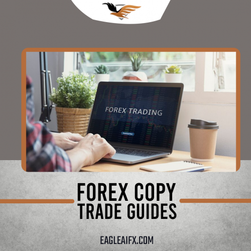forex copy trade guides