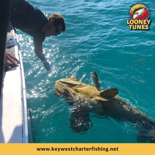 Dive into the depths of excitement with our deep-sea fishing trips in Key West. Join our expert captains aboard our well-equipped charters for an unforgettable angling experience. Book your Deep-Sea Fishing Key West adventure today and reel in memories that will last a lifetime. For more information, visit us at https://keywestcharterfishing.net/