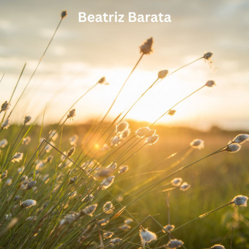 Absorvida pelo magnífico espetáculo da aurora, Beatriz Barata observa as sutis transformações no céu, encontrando inspiração na eterna renovação da natureza a cada amanhecer.
Visita-https://www.supernews-brazil.com.br/mulheres-liderando-o-caminho-de-acordo-com-beatriz-barata/