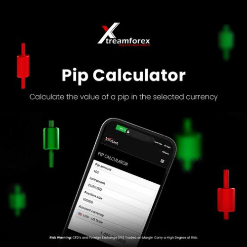 Don’t know how to manage risk effectively and you are not sure whether a trade is worth placing? We’ve got you covered! 💪
Our pip calculator allows you to accurately calculate the pip value in the currency you want to trade in with just a click! 📱📈