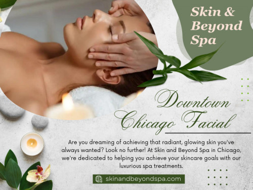 Downtown Chicago Facial