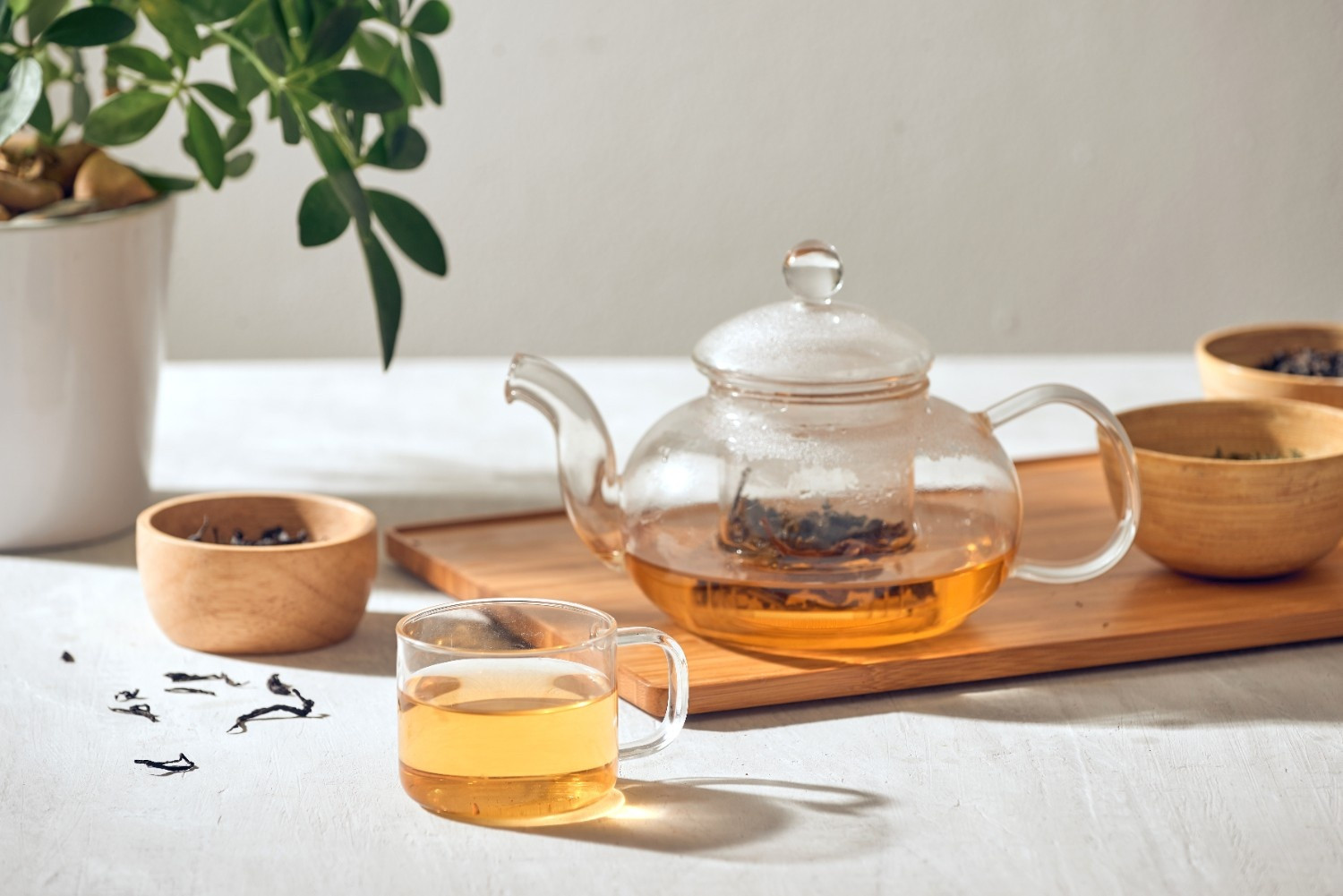 Explore Oolong Tea Collection