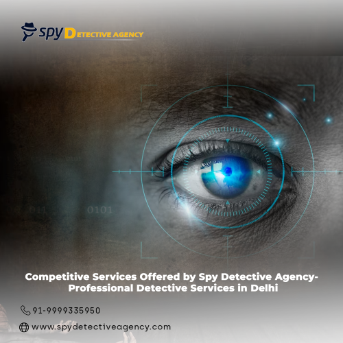 Gaining an Edge with detective Services in Delhi by Spy Detective Agency