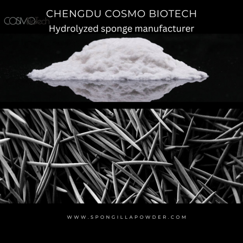 Explore innovative skincare with Cosmo Biotech, a leading hydrolyzed sponge manufacturer. Our products harness the power of nature to deliver premium skincare solutions. Discover the secret to radiant, healthy skin today!

Click here: https://spongillapowder.com/