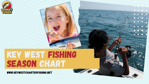 Check out our Florida Keys charter fishing seasons calendar chart by month and by species to help you decide when the best time to go fishing is in Key West, FL. Our Key West Fishing Season Chart provides valuable information on peak fishing times. Maximize your chances of a great catch with our guide. Plan your trip accordingly for a successful fishing adventure! Visit us at  https://keywestcharterfishing.net/fishing-calendar/