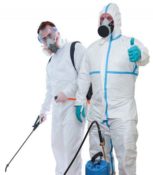 Need termites control in Singapore? Click on Top-pestcontrol.sg. We offer affordable and reliable termite control services to help keep your home or office safe from these pests. To find out more today, visit our site.

https://www.top-pestcontrol.sg/termites-control-singapore/