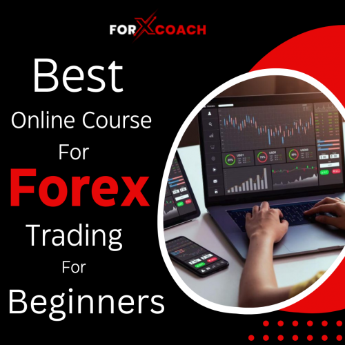 The perfect starting point for aspiring forex traders with our meticulously crafted best online course for forex trading Tailored for beginners, it equips you with essential knowledge, from understanding currency pairs to executing trades confidently. Dive into comprehensive modules designed to demystify forex trading, backed by expert insights and practical strategies. Start your journey to financial independence today.