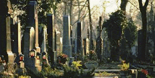 Zentralfriedhof wien