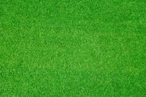 Always Green Turf AZ;204 S Mesa Dr, Mesa, AZ 85210;(480) 530-5476;https://www.alwaysgreenturfaz.com