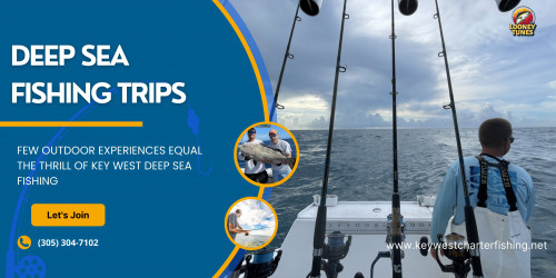 Ready to experience the thrill of deep sea fishing in Key West with our charter fishing services? Explore the abundant marine life and reel in the big catch of your dreams. Enjoy the pristine waters, stunning views, and unforgettable fishing experiences. Plan your trip today! Visit us at https://keywestcharterfishing.net/