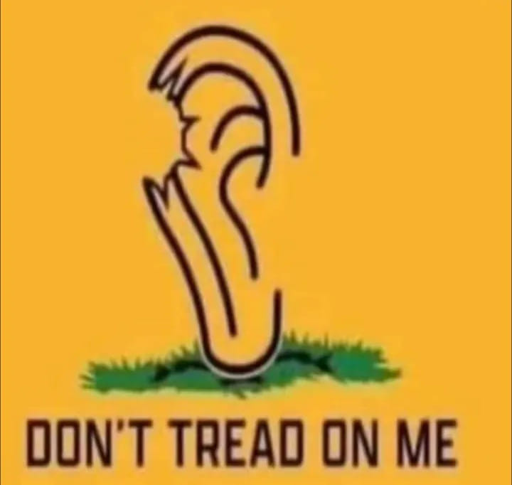 [Image: StOM5.jpg]