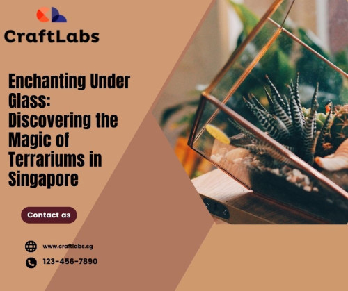 In the fast-paced digital landscape, creating compelling and engaging content is key to establishing a strong online presence.
Website: https://craftlabs.sg/workshops/terrarium
Phone: (+65) 6355 0329
Address: 37 Jalan Pemimpin Mapex Building #03-10 Singapore 577177

#Singapore Terrarium#Terrarium Gardens in Singapore#Terrarium Workshop Singapore#Indoor Gardens Singapore#Miniature Gardens Singapore#Singapore Green Spaces#Urban Terrariums in Singapore#Terrarium Design Singapore#Singaporean Terrarium Trend#Terrarium Care Singapore#Terrarium Plants Singapore#Singapore Urban Greenery#Terrarium DIY Singapore