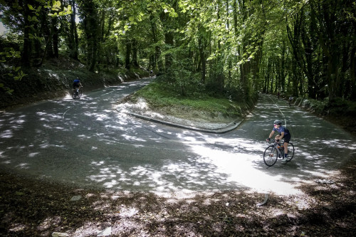 ZigZag-Hill-Cyclist.jpg