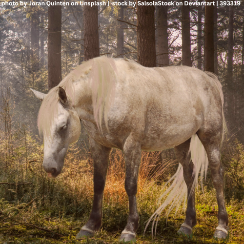 photo by Joran Quinten on Unsplash