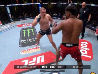 b31SJ.gif