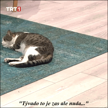 OsnQE5FnhhUO