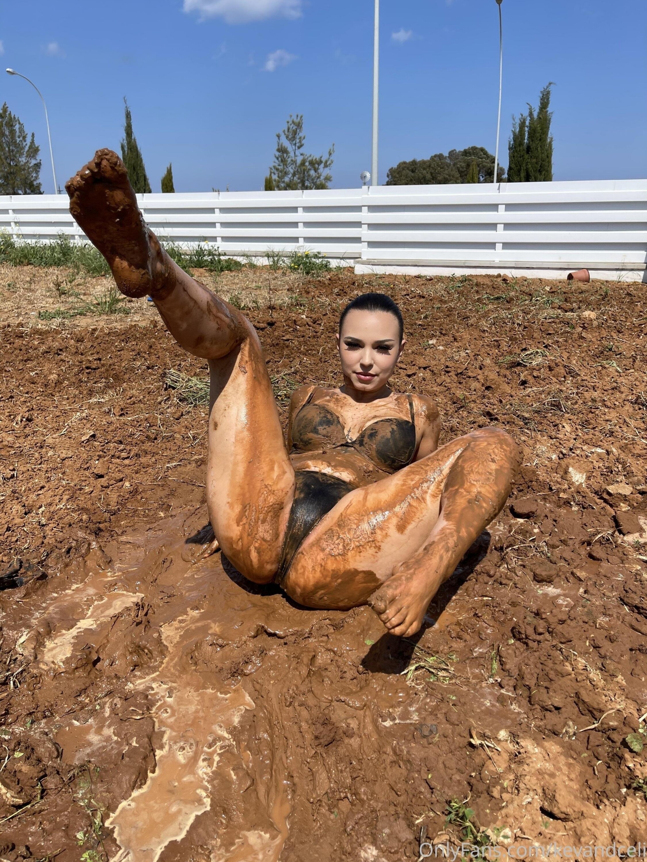 b33o6.jpg