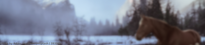 394402 Callipso (11)