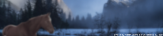 394402 Callipso (12)