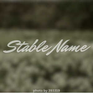 Alsike Equestrian (6)