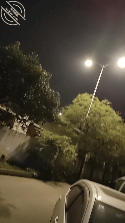 GIF Image