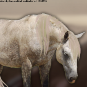 Alsike Equestrian (11)