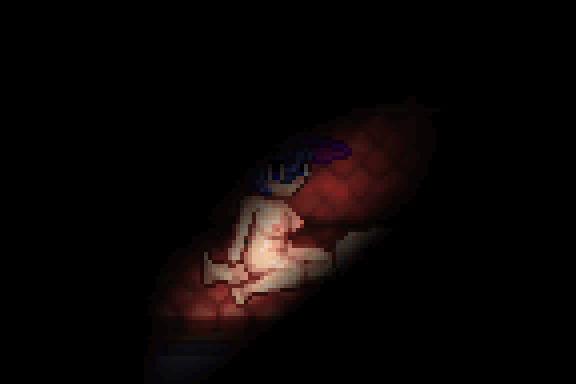 NTR Fates: Anamnesis Ver.0.3.5 by Mystichef Porn Game